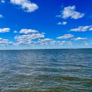 Photo #6 of 5108 WILDCAT LN, CHINCOTEAGUE, VA 4.7 acres