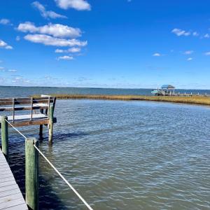 Photo #70 of 5108 WILDCAT LN, CHINCOTEAGUE, VA 4.7 acres