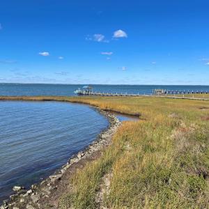 Photo #78 of 5108 WILDCAT LN, CHINCOTEAGUE, VA 4.7 acres
