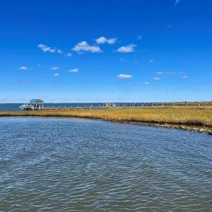 Photo #79 of 5108 WILDCAT LN, CHINCOTEAGUE, VA 4.7 acres