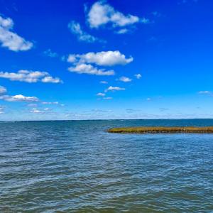 Photo #80 of 5108 WILDCAT LN, CHINCOTEAGUE, VA 4.7 acres