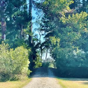 Photo #88 of 5108 WILDCAT LN, CHINCOTEAGUE, VA 4.7 acres