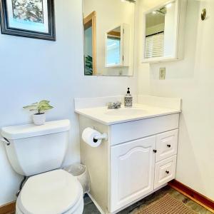 Photo #56 of 5108 WILDCAT LN, CHINCOTEAGUE, VA 4.7 acres