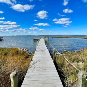 Photo #2 of 5108 WILDCAT LN, CHINCOTEAGUE, VA 4.7 acres