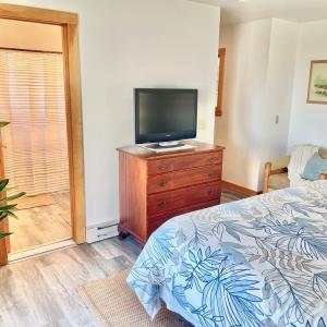 Photo #51 of 5108 WILDCAT LN, CHINCOTEAGUE, VA 4.7 acres