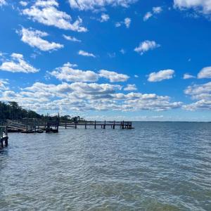 Photo #89 of 5108 WILDCAT LN, CHINCOTEAGUE, VA 4.7 acres