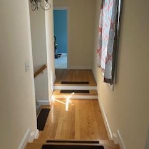 Photo #12 of 22337 PLUM TREE RD, CAPE CHARLES, VA 0.5 acres