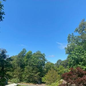 Photo #10 of 35023 BLACK OAK CT, HORNTOWN, VA 0.1 acres