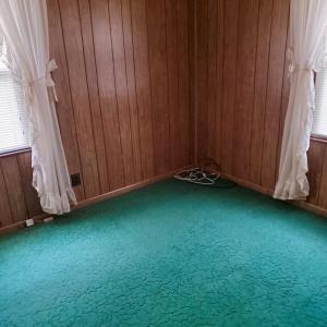 Photo #14 of 7158 BUNTING RD, CHINCOTEAGUE, VA 0.3 acres