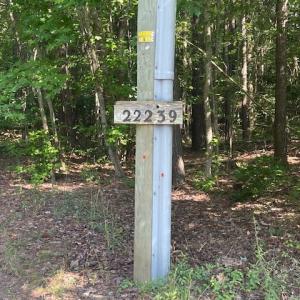 Photo #22 of 22239 SEASIDE RD, CAPE CHARLES, VA 2.0 acres