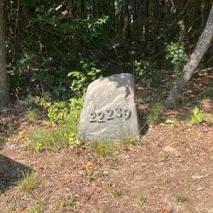 Photo #23 of 22239 SEASIDE RD, CAPE CHARLES, VA 2.0 acres