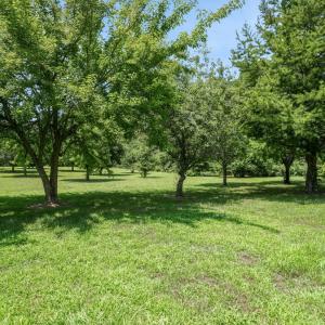 Photo #53 of 12148 ATLANTIC RD, TEMPERANCEVILLE, VA 3.0 acres