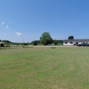 Photo #11 of 30363 BIG PINE RD, PAINTER, VA 5.9 acres