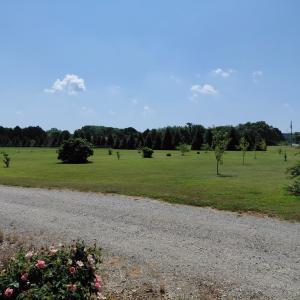 Photo #19 of 30363 BIG PINE RD, PAINTER, VA 5.9 acres