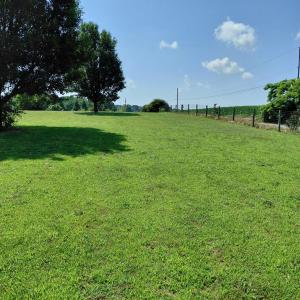 Photo #21 of 30363 BIG PINE RD, PAINTER, VA 5.9 acres
