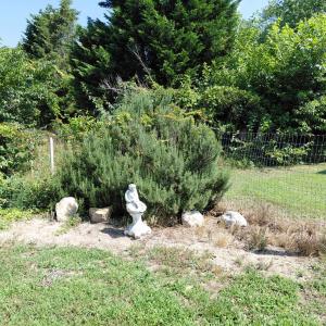 Photo #24 of 30363 BIG PINE RD, PAINTER, VA 5.9 acres