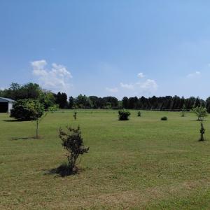 Photo #6 of 30363 BIG PINE RD, PAINTER, VA 5.9 acres
