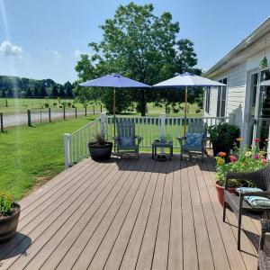 Photo #65 of 30363 BIG PINE RD, PAINTER, VA 5.9 acres