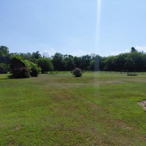 Photo #67 of 30363 BIG PINE RD, PAINTER, VA 5.9 acres