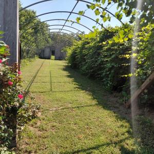 Photo #69 of 30363 BIG PINE RD, PAINTER, VA 5.9 acres