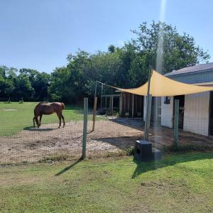 Photo #72 of 30363 BIG PINE RD, PAINTER, VA 5.9 acres