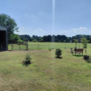 Photo #74 of 30363 BIG PINE RD, PAINTER, VA 5.9 acres