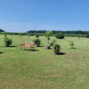 Photo #76 of 30363 BIG PINE RD, PAINTER, VA 5.9 acres