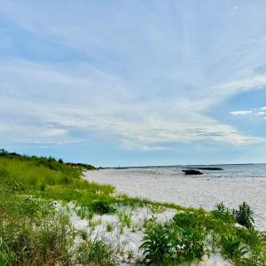 Photo #43 of 300 MASON AVE, CAPE CHARLES, VA