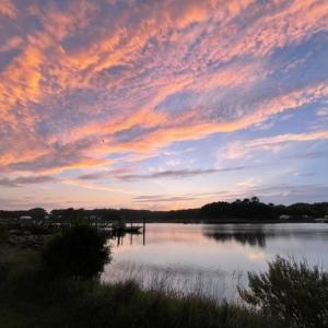 Photo #11 of 6526 BROADWATER CIR, OYSTER, VA 40.0 acres