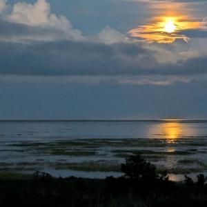Photo #7 of 6526 BROADWATER CIR, OYSTER, VA 40.0 acres