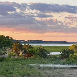 Photo #8 of 6526 BROADWATER CIR, OYSTER, VA 40.0 acres