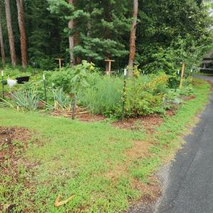 Photo #8 of 23613 FRONT ST, ACCOMAC, VA 0.5 acres