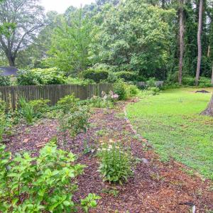 Beautiful Perennials