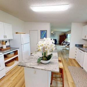 updated kitchen