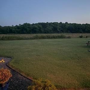 Photo #57 of 5036 MAGOTHA RD, CAPE CHARLES, VA 0.5 acres