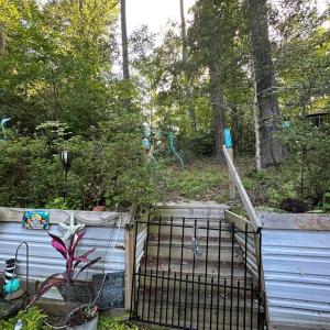 Photo #12 of 35031 ROBIN LN, HORNTOWN, VA 0.2 acres