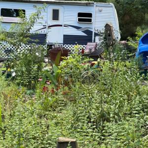 Photo #28 of 35031 ROBIN LN, HORNTOWN, VA 0.2 acres