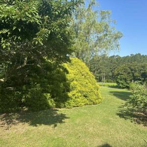 Photo #30 of 12185 HACKSNECK RD, HACKSNECK, VA 0.8 acres