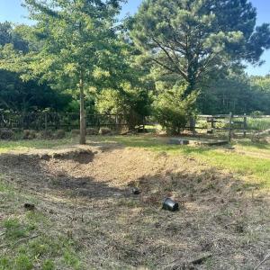 Photo #32 of 12185 HACKSNECK RD, HACKSNECK, VA 0.8 acres