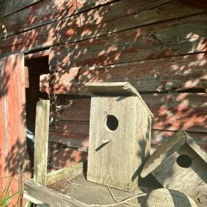 Photo #36 of 12185 HACKSNECK RD, HACKSNECK, VA 0.8 acres