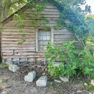 Photo #37 of 12185 HACKSNECK RD, HACKSNECK, VA 0.8 acres