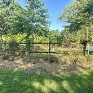 Photo #45 of 12185 HACKSNECK RD, HACKSNECK, VA 0.8 acres