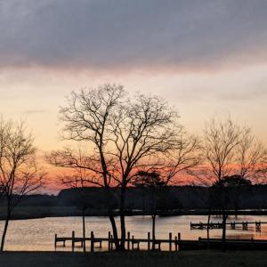 Photo #35 of 31143 NANDUA DR, PAINTER, VA 1.9 acres