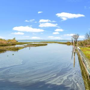 Photo #32 of 5095 BLAKE POINT RD, CHINCOTEAGUE, VA 3.3 acres