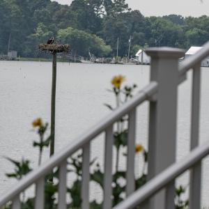 Photo #13 of 5334 CHESAWADOX DR, EXMORE, VA 1.6 acres