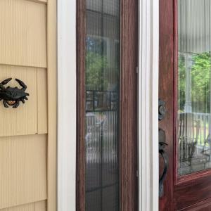 Photo #8 of 5334 CHESAWADOX DR, EXMORE, VA 1.6 acres