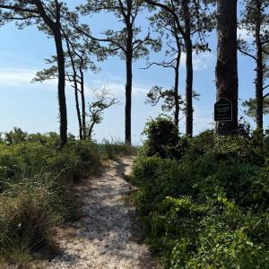 Photo #19 of 16115 CANDY LANE, CAPE CHARLES, VA 0.5 acres