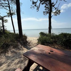 Photo #20 of 16115 CANDY LANE, CAPE CHARLES, VA 0.5 acres