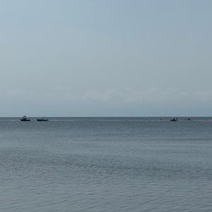 Photo #22 of 16115 CANDY LANE, CAPE CHARLES, VA 0.5 acres