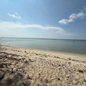 Photo #25 of 16115 CANDY LANE, CAPE CHARLES, VA 0.5 acres